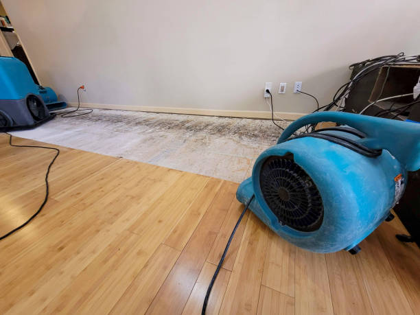 Professional Water Damage Repair technician working in Port Aransas, TX